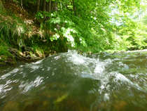 foto/diskuze/z_lovu/2012/th-img49023.jpg