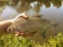 foto/diskuze/z_lovu/2012/th-img49034.jpg