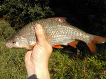 foto/diskuze/z_lovu/2012/th-img49035.jpg