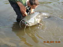 foto/diskuze/z_lovu/2012/th-img49074.jpg