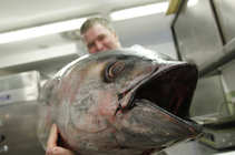 foto/diskuze/z_lovu/2012/th-img49108.jpg