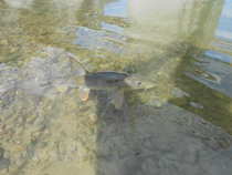 foto/diskuze/z_lovu/2012/th-img49138.jpg
