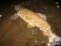 foto/diskuze/z_lovu/2012/th-img49144.jpg