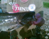 foto/diskuze/z_lovu/2012/th-img49157.jpg