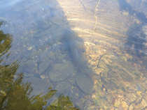 foto/diskuze/z_lovu/2012/th-img49164.jpg