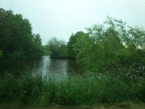 foto/diskuze/z_lovu/2012/th-img49213.jpg