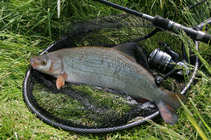 foto/diskuze/z_lovu/2012/th-img49233.jpg