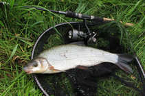 foto/diskuze/z_lovu/2012/th-img49234.jpg