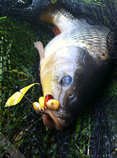 foto/diskuze/z_lovu/2012/th-img49256.jpg