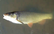 foto/diskuze/z_lovu/2012/th-img49262.jpg