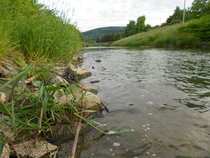 foto/diskuze/z_lovu/2012/th-img49267.jpg