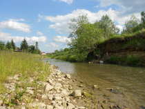 foto/diskuze/z_lovu/2012/th-img49309.jpg