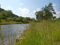 foto/diskuze/z_lovu/2012/th-img49310.jpg