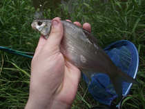 foto/diskuze/z_lovu/2012/th-img49318.jpg