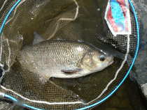 foto/diskuze/z_lovu/2012/th-img49332.jpg