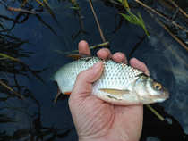 foto/diskuze/z_lovu/2012/th-img49342.jpg