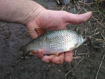 foto/diskuze/z_lovu/2012/th-img49343.jpg