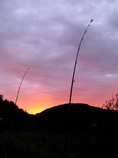 foto/diskuze/z_lovu/2012/th-img49370.jpg