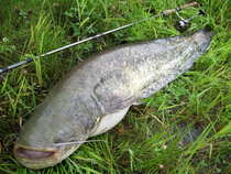 foto/diskuze/z_lovu/2012/th-img49378.jpg