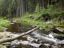foto/diskuze/z_lovu/2012/th-img49395.jpg