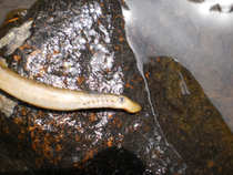 foto/diskuze/z_lovu/2012/th-img49396.jpg