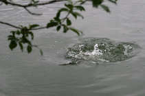 foto/diskuze/z_lovu/2012/th-img49406.jpg