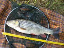 foto/diskuze/z_lovu/2012/th-img49411.jpg
