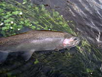 foto/diskuze/z_lovu/2012/th-img49413.jpg