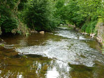 foto/diskuze/z_lovu/2012/th-img49427.jpg