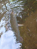 foto/diskuze/z_lovu/2012/th-img49428.jpg