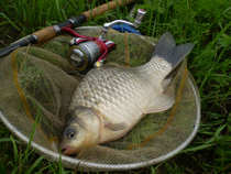 foto/diskuze/z_lovu/2012/th-img49438.jpg