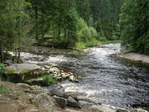 foto/diskuze/z_lovu/2012/th-img49465.jpg