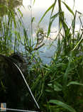 foto/diskuze/z_lovu/2012/th-img49469.jpg