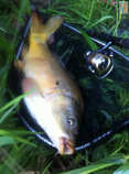 foto/diskuze/z_lovu/2012/th-img49470.jpg