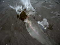 foto/diskuze/z_lovu/2012/th-img49482.jpg
