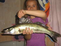 foto/diskuze/z_lovu/2012/th-img49528.jpg