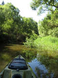 foto/diskuze/z_lovu/2012/th-img49529.jpg