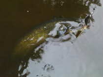 foto/diskuze/z_lovu/2012/th-img49536.jpg