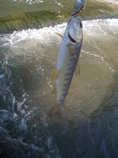 foto/diskuze/z_lovu/2012/th-img49539.jpg