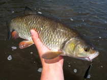 foto/diskuze/z_lovu/2012/th-img49560.jpg