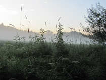 foto/diskuze/z_lovu/2012/th-img49594.jpg