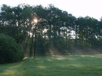 foto/diskuze/z_lovu/2012/th-img49595.jpg