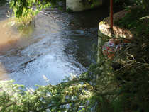 foto/diskuze/z_lovu/2012/th-img49599.jpg