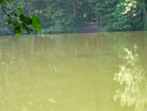 foto/diskuze/z_lovu/2012/th-img49602.jpg