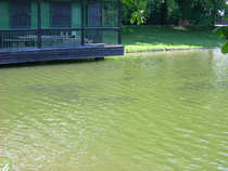foto/diskuze/z_lovu/2012/th-img49603.jpg