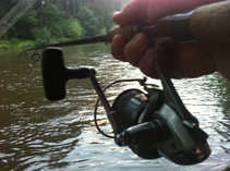 foto/diskuze/z_lovu/2012/th-img49610.jpg