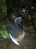 foto/diskuze/z_lovu/2012/th-img49615.jpg