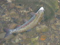 foto/diskuze/z_lovu/2012/th-img49640.jpg