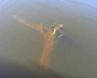 foto/diskuze/z_lovu/2012/th-img49660.jpg