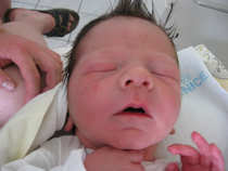 foto/diskuze/z_lovu/2012/th-img49698.jpg
